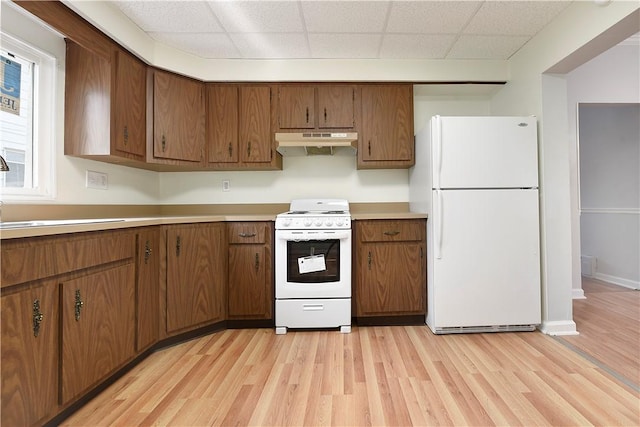 kitchen featuring white appliances, under cabinet range hood, light wood finished floors, light countertops, and a drop ceiling