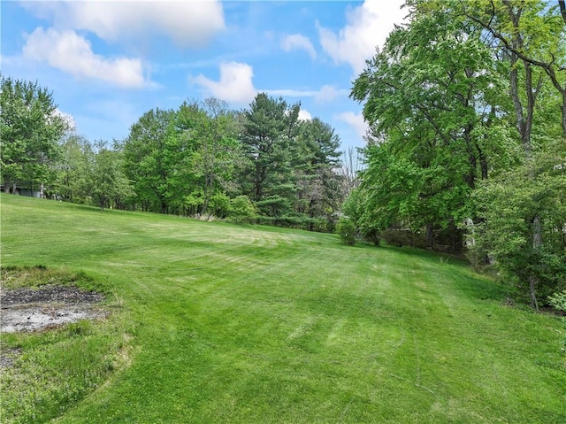 view of green lawn