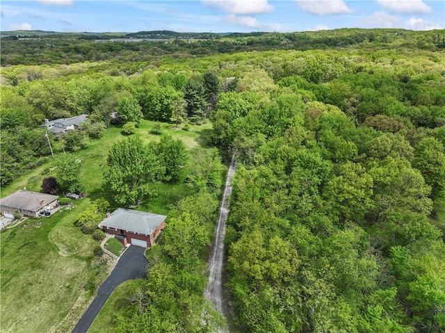 drone / aerial view of a forest
