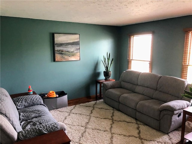 1016 Timberwood Ct, Murrysville, PA 15668 - living room with baseboards