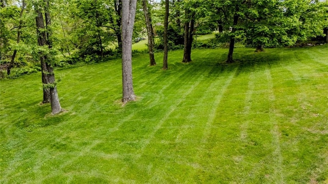 1016 Timberwood Ct, Murrysville, PA 15668 - view of green lawn