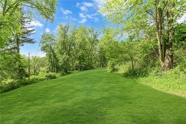 584 Park Rd, Chippewa Twp, PA 15010 - view of green lawn