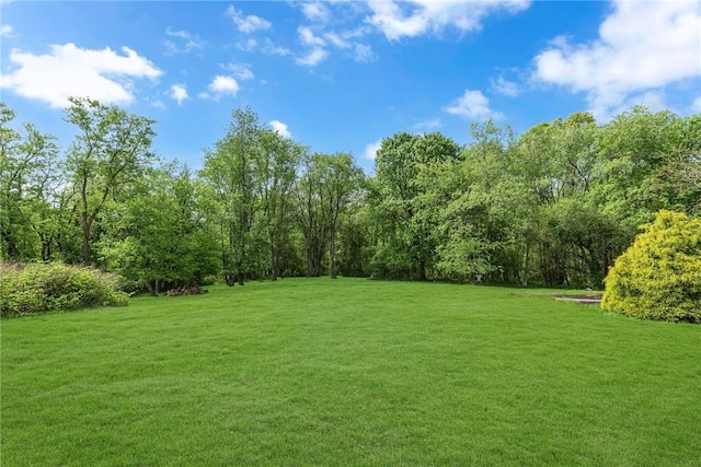 584 Park Rd, Chippewa Twp, PA 15010 - view of grassy yard featuring a view of trees