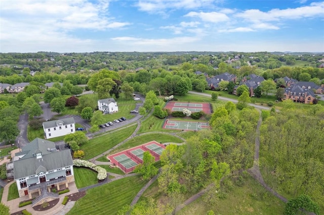 bird's eye view
