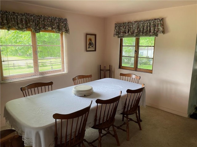 dining area featuring carpet floors