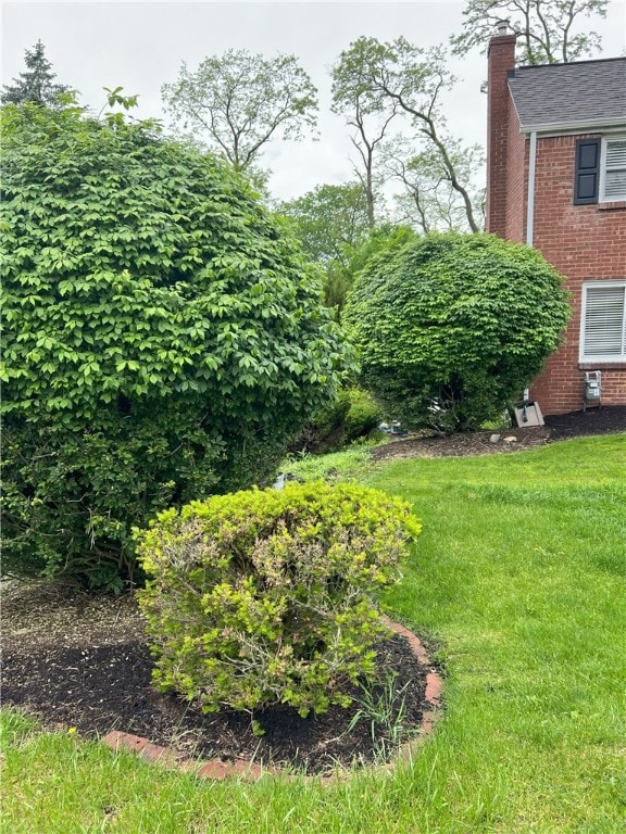 view of green lawn