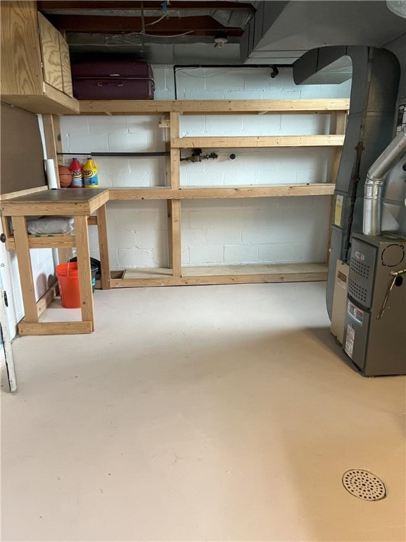 unfinished below grade area featuring concrete block wall