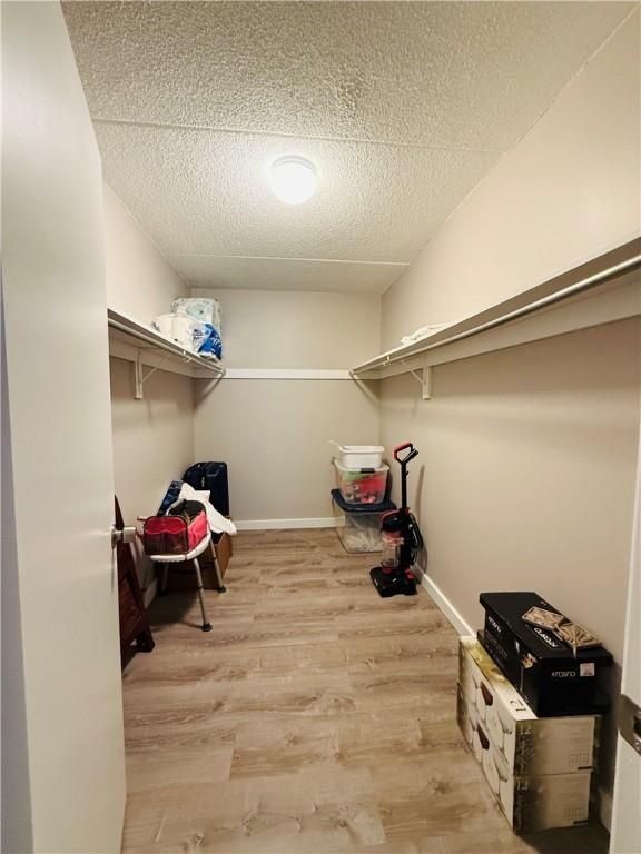 spacious closet with light wood-style flooring