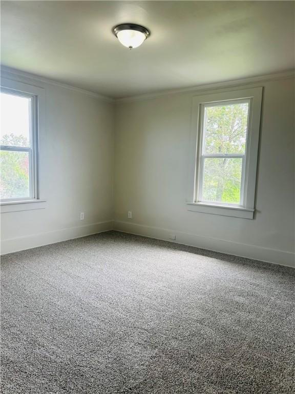 carpeted empty room featuring crown molding and baseboards