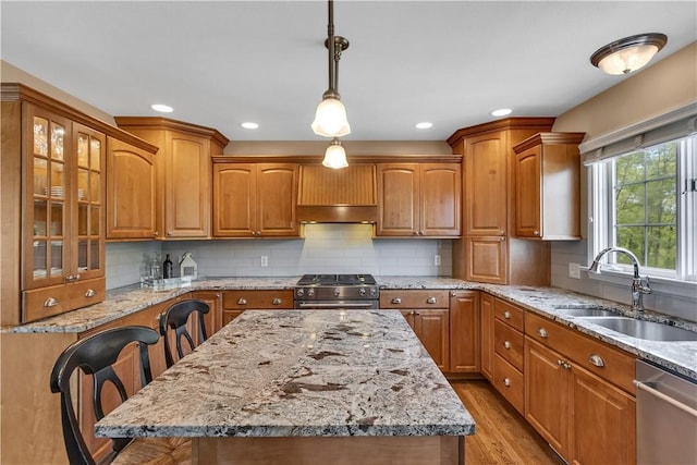 kitchen featuring appliances with stainless steel finishes, a sink, under cabinet range hood, glass insert cabinets, and light wood-type flooring