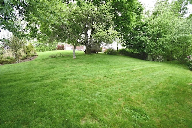 5005 Brownsville Rd, Whitehall, PA 15236 - view of grassy yard