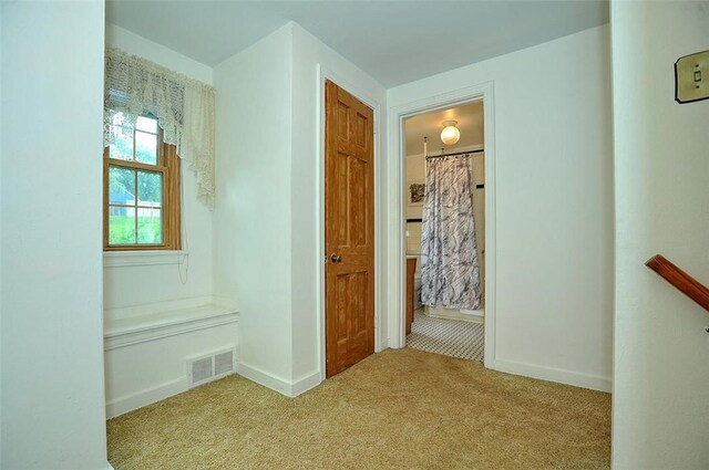 338 Elizabeth Ave, Chalfant Boro, PA 15112 - hallway with carpet floors and baseboards