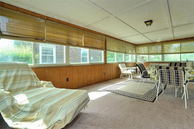 338 Elizabeth Ave, Chalfant Boro, PA 15112 - sunroom with wooden walls and carpet floors