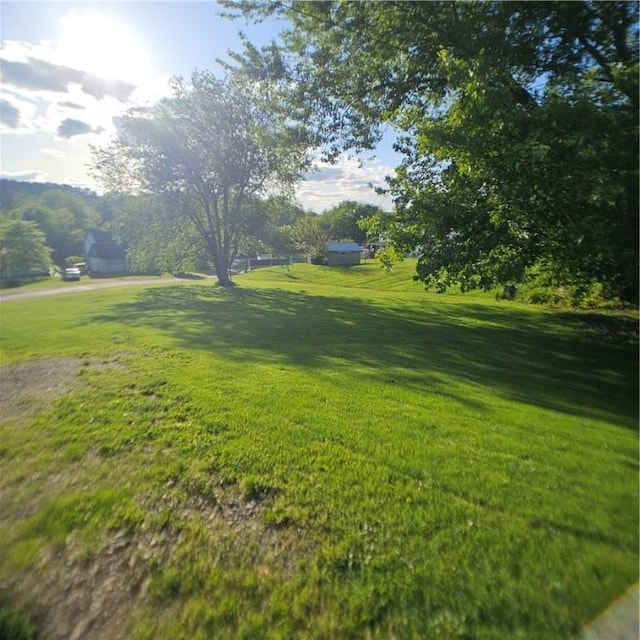 view of green lawn