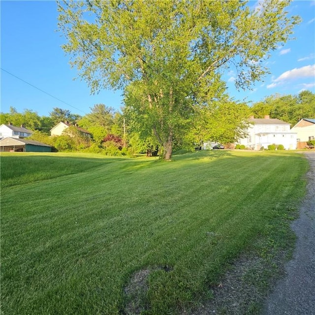 view of grassy yard
