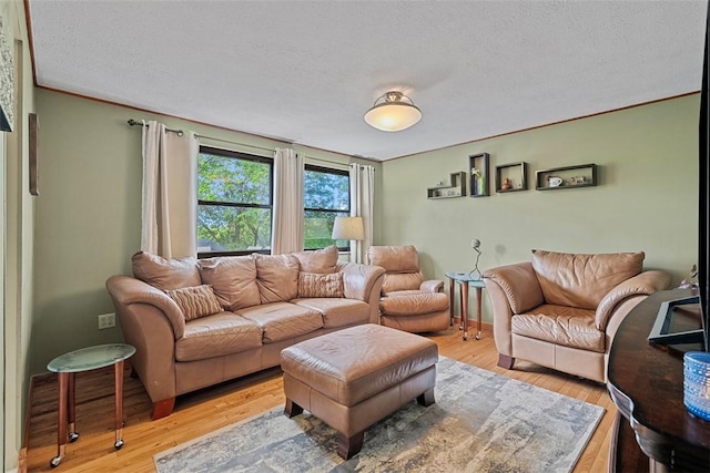 2880 Willowick Ct, South Fayette, PA 15017 - living room with a textured ceiling, light wood-style floors, crown molding, and baseboards