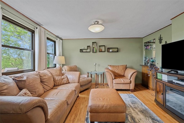 2880 Willowick Ct, South Fayette, PA 15017 - living room with wood finished floors and a textured ceiling
