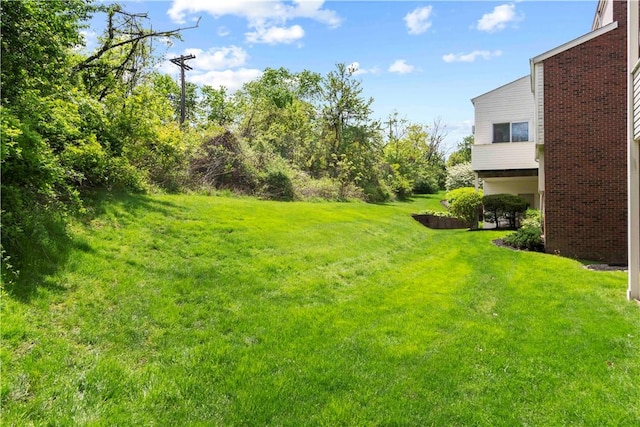 2409 Kenzie Dr, Robinson Twp Nwa, PA 15205 - view of green lawn