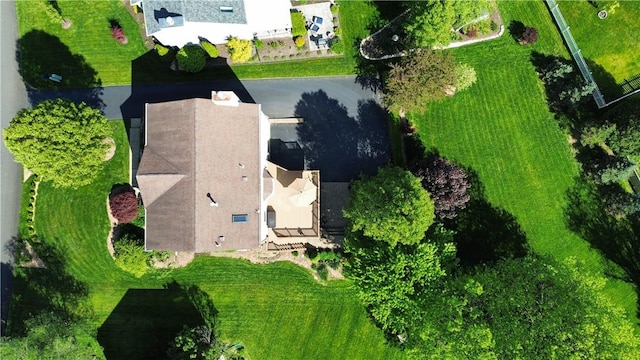 drone / aerial view
