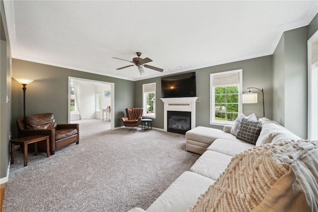 430 Southfield Dr, Hempfield Twp Wml, PA 15601 - living area featuring ornamental molding, plenty of natural light, a ceiling fan, a glass covered fireplace, and carpet flooring