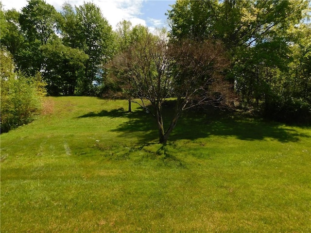 110 Holbert Stretch Rd, Bobtown/Dilliner, PA 15327 - view of green lawn