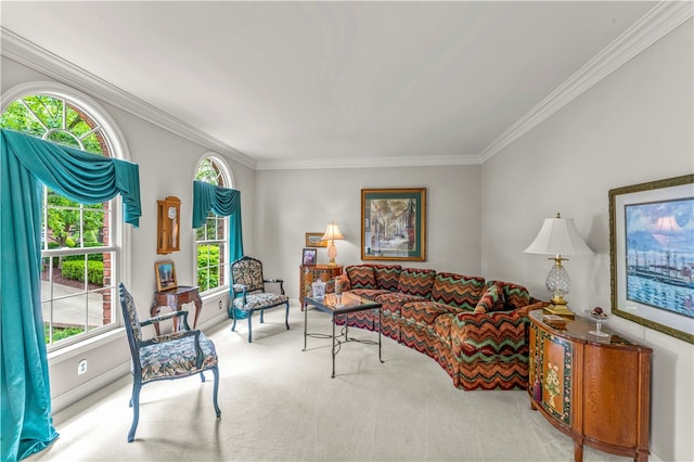 1006 Sheriffs Ct, Peters Twp, PA 15317 - living area featuring crown molding, plenty of natural light, and carpet
