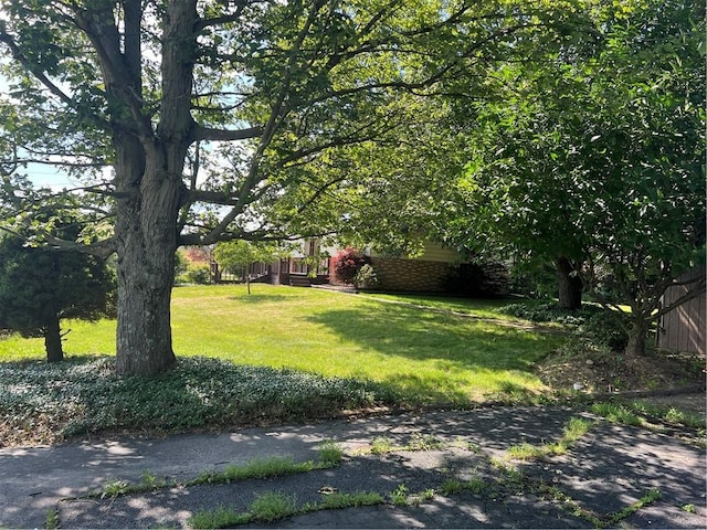 105 Lawrence Ave, Twp Of But Nw, PA 16001 - view of grassy yard