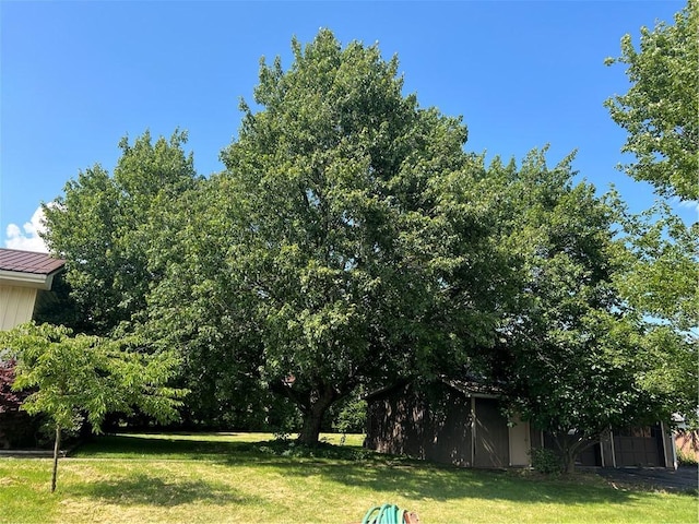 105 Lawrence Ave, Twp Of But Nw, PA 16001 - view of green lawn with an outbuilding