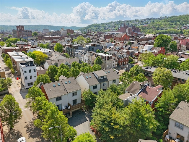 aerial perspective of suburban area