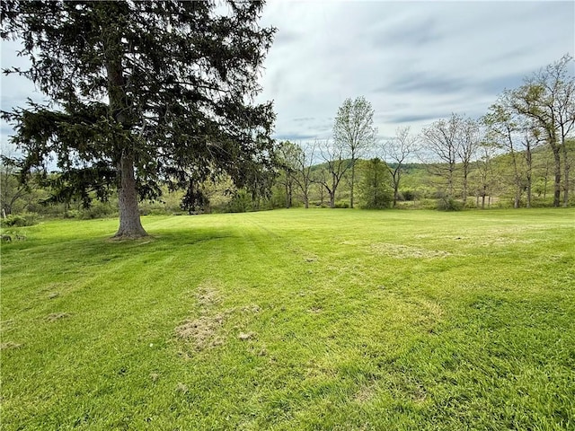 view of grassy yard