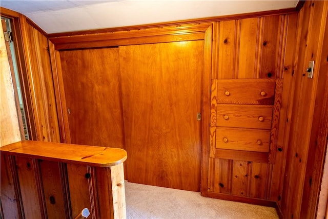 116 Diebold Rd, Robinson Twp Nwa, PA 15136 - detailed view of carpet