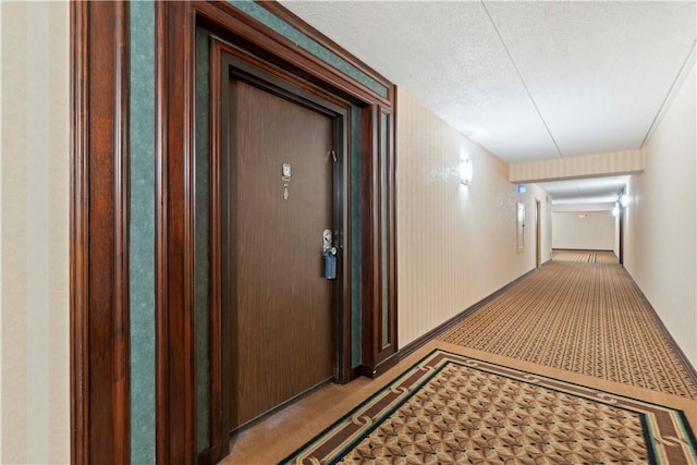 5600 Munhall Rd Unit 517, Squirrel Hill, PA 15217 - hallway with light carpet