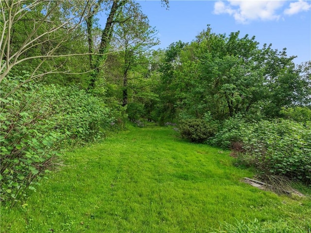view of green lawn