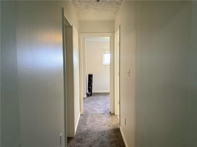 4974 Williamsport Rd, Elizabeth Twp/Boro, PA 15037 - corridor featuring dark carpet and baseboards
