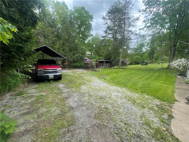 107 Pfaff Rd, Economy, PA 15005 - view of green lawn with a carport and dirt driveway