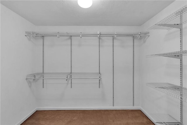 spacious closet with carpet floors