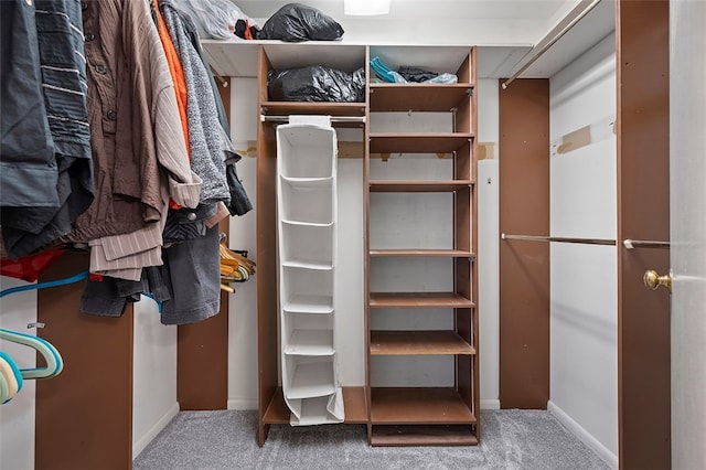 spacious closet with carpet