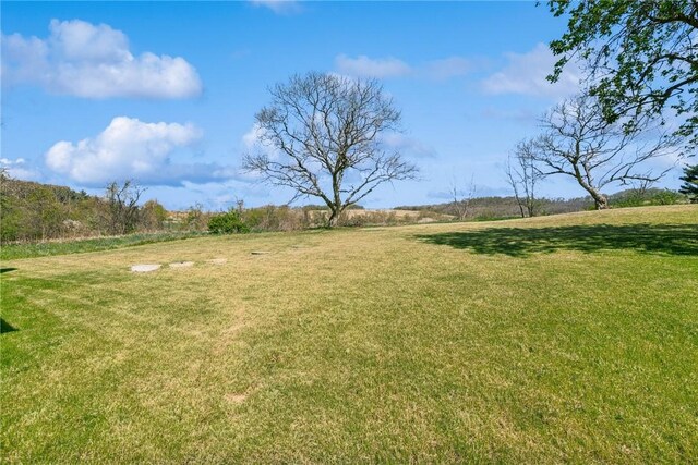 view of grassy yard
