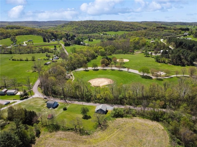 aerial view