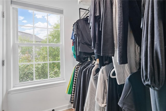 113 Lewisham Rd, Cranberry Twp, PA 16066 - view of spacious closet