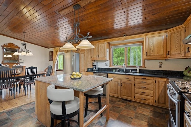 kitchen with appliances with stainless steel finishes, a sink, wooden ceiling, dark stone finish flooring, and plenty of natural light