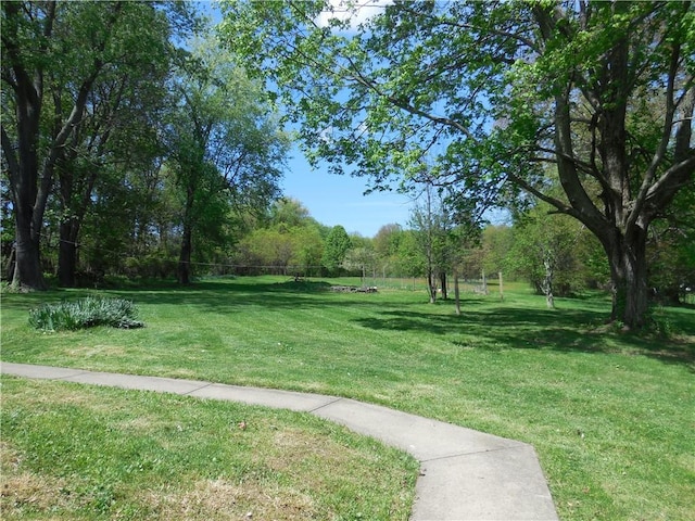 view of property's community with a yard