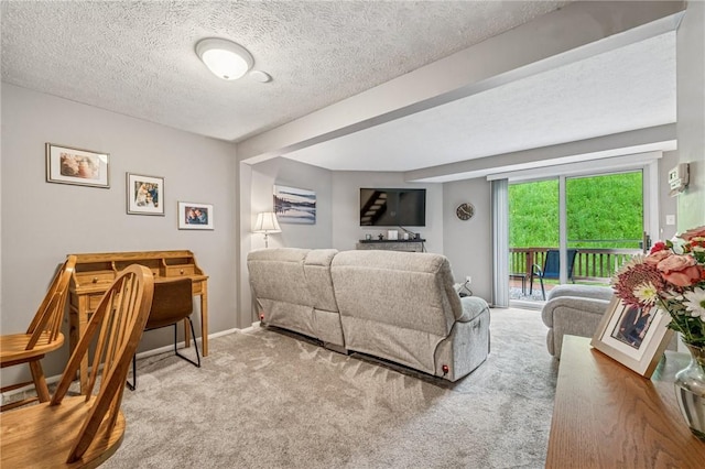 226 Green Ct, Castle Shannon, PA 15234 - carpeted bedroom featuring access to outside, a textured ceiling, and baseboards