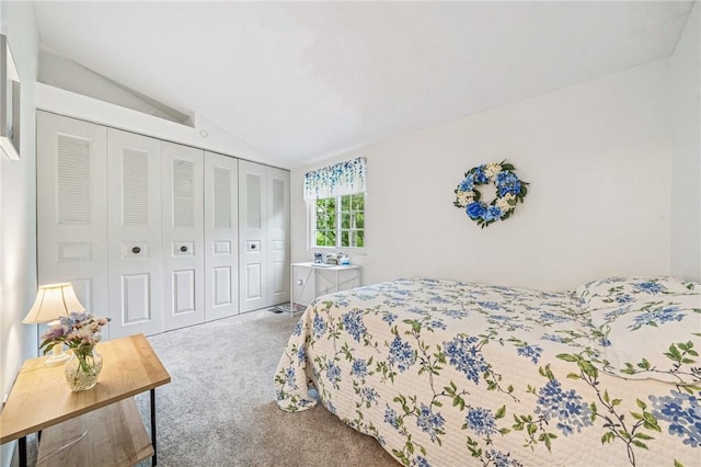 226 Green Ct, Castle Shannon, PA 15234 - carpeted bedroom featuring vaulted ceiling and a closet