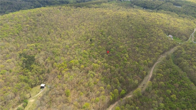 474 Barkley, Addison Twp, PA 15411 - aerial view of property and surrounding area featuring a forest