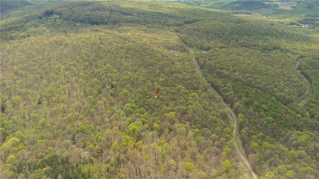 474 Barkley, Addison Twp, PA 15411 - bird's eye view of a forest