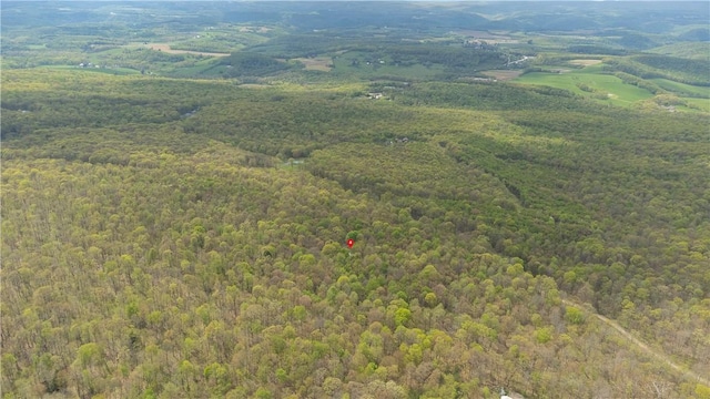 474 Barkley, Addison Twp, PA 15411 - bird's eye view of a heavily wooded area