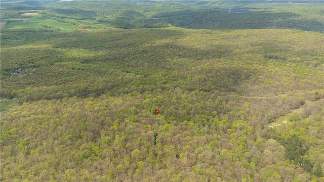 474 Barkley, Addison Twp, PA 15411 - drone / aerial view of a forest