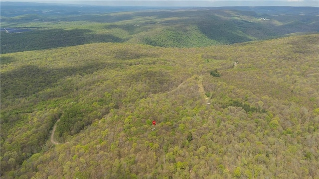 474 Barkley, Addison Twp, PA 15411 - aerial view of a forest
