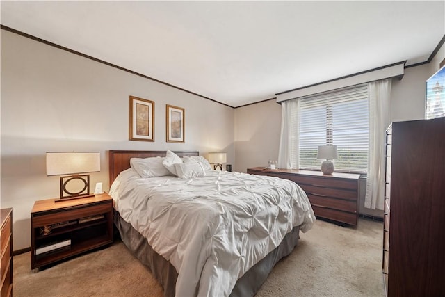 257 Penhurst Dr, Wilkins Twp, PA 15235 - bedroom with light colored carpet and ornamental molding